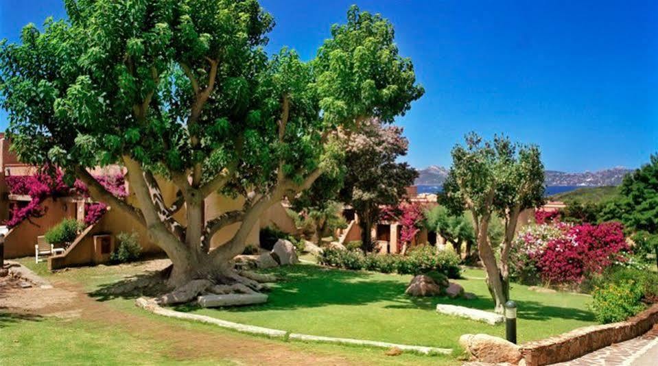 Hotel Club Viaggi Santo Stefano 马达莱纳 外观 照片